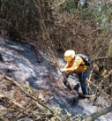 Inicia Veracruz la semana con dos incendios forestales activos