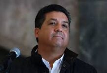 Cabeza de vaca