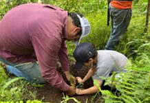 Diputado Denuncia tala ilegal en el Cofre de Perote