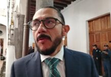 PVEM asegura curul para Citlali Medellín en el Congreso local