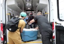 Donación de órganos del IMSS Orizaba beneficiará a pacientes de distintos estados