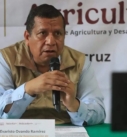 Advierten sobre volatilidad en precios de chayote y piña en Veracruz