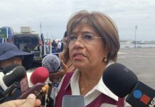 Veracruz tendría que pagar 2 millones para proyectar partidos del Mundial