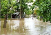 Atiende Estado población tras lluvias en Isla, activa Ejército Plan DN-III