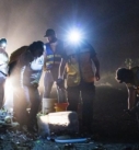 Protege Veracruz la migración del cangrejo azul