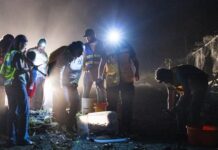 Protege Veracruz la migración del cangrejo azul