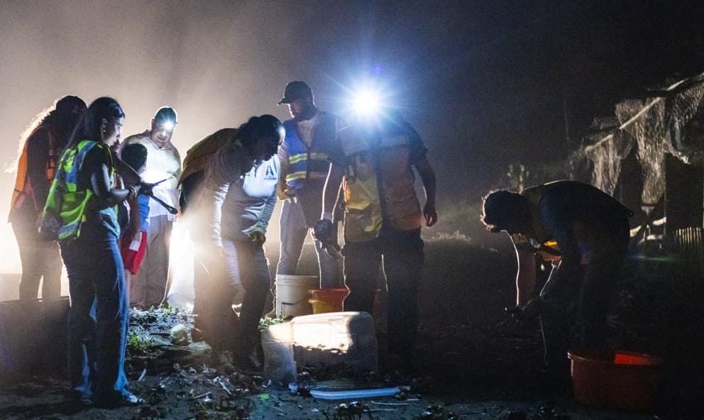 Protege Veracruz la migración del cangrejo azul