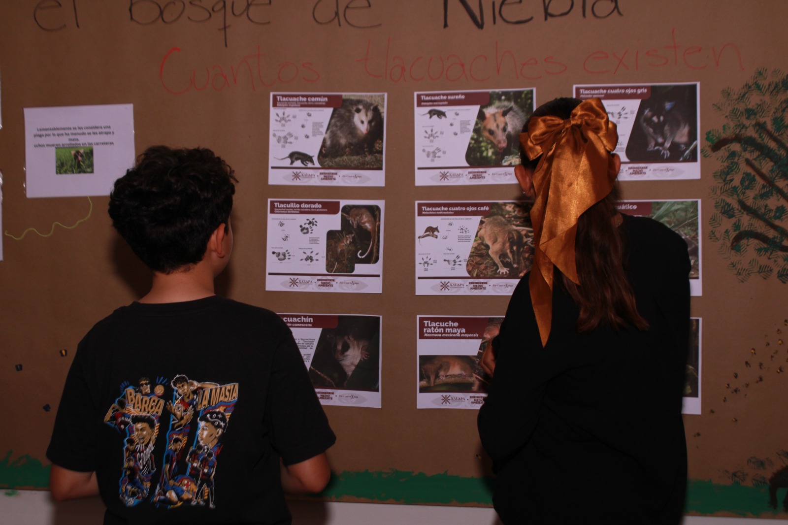 Promueve SECVER talleres gratuitos para toda la familia en la 36.ª FNLIyJ