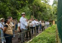 Conservación y bienestar animal, prioridades de UMA Naturalia