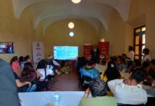 Veracruz inicia estrategia para fortalecer la gestión cultural
