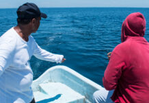 Miércoles entrega de recursos a más de 2 mil pescadores de Veracruz