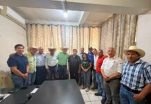 Banderazo a la campaña de barrido en El Higo