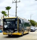 Autobuses Atenas, Totonaco y Papaloapan comenzarían a operar en septiembre: Nahle