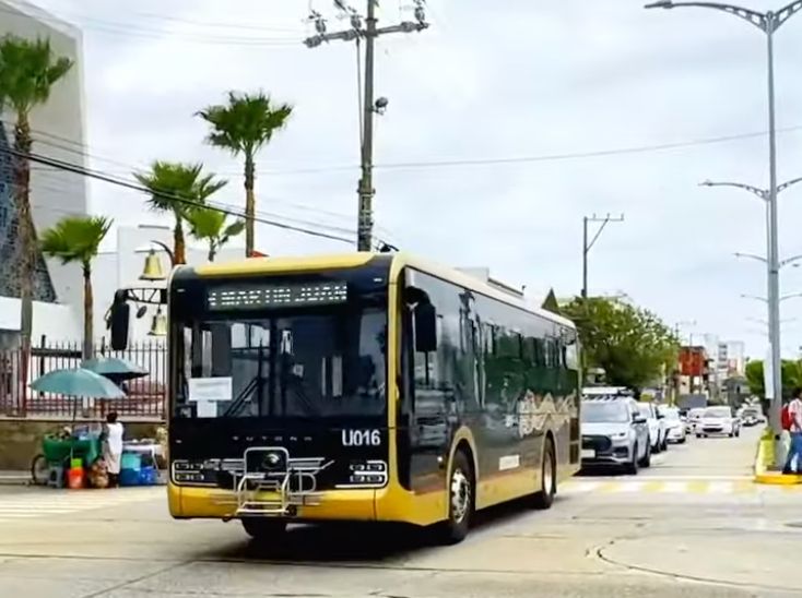 Autobuses Atenas, Totonaco y Papaloapan comenzarían a operar en septiembre: Nahle