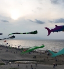 Papalotes gigantes llenan de color el cielo de Coatzacoalcos en el Festival del Mar