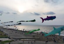 Papalotes gigantes llenan de color el cielo de Coatzacoalcos en el Festival del Mar
