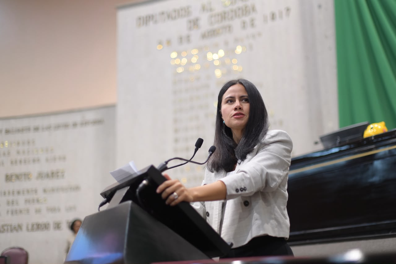 Fracaso monumental en salud; diputada exige romper convenio con IMSS