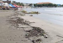 SEDEMA y Ayuntamientos revisan por qué el mal olor en playas de Boca del Río