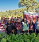 Reforesta Sedema 3.5 hectáreas en el ejido Las Vigas