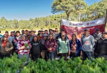 Reforesta Sedema 3.5 hectáreas en el ejido Las Vigas