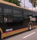 Tuxpan podría acceder a la modernización del transporte público como Poza Rica