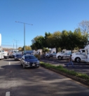 Respeto a la libre manifestación destaca gobernadora ante paro nacional de transportistas